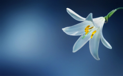 花花后院能提现吗