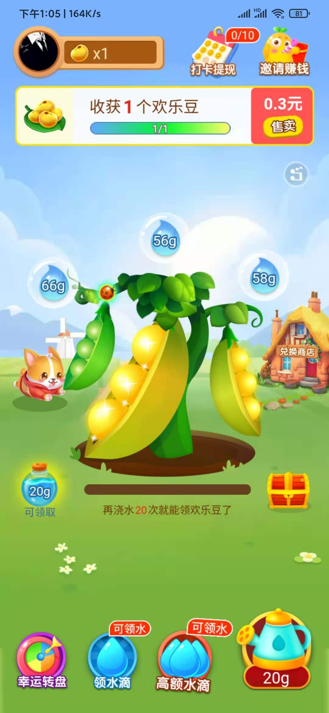 种豆得豆种树结果
